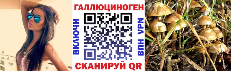 Галлюциногенные грибы мицелий  Абаза 